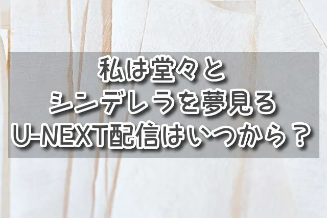 私は堂々とシンデレラを夢見る　配信