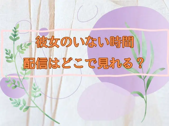彼女のいない時間 配信