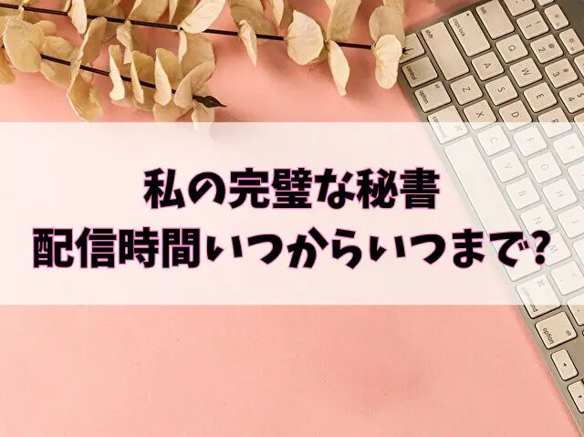 私の完璧な秘書はどこで見れる?配信時間はいつからいつまで?更新・何話までかもお届け!